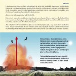 Proč je mlha jak mlíko a déšť průhledný?